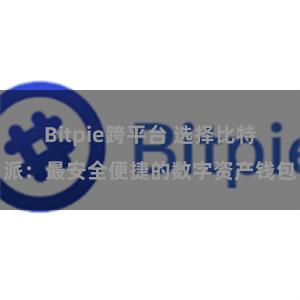 Bitpie跨平台 选择比特派：最安全便捷的数字资产钱包