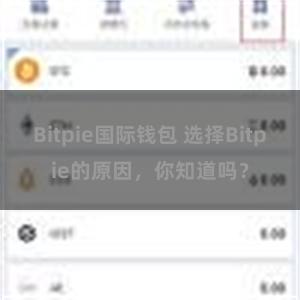 Bitpie国际钱包 选择Bitpie的原因，你知道吗？