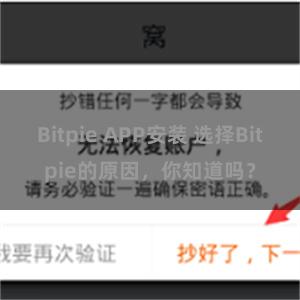 Bitpie APP安装 选择Bitpie的原因，你知道吗？