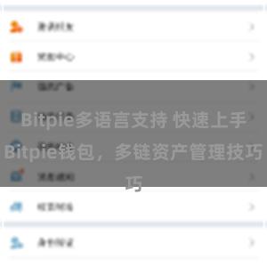 Bitpie多语言支持 快速上手Bitpie钱包，多链资产管理技巧