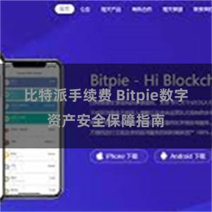 比特派手续费 Bitpie数字资产安全保障指南