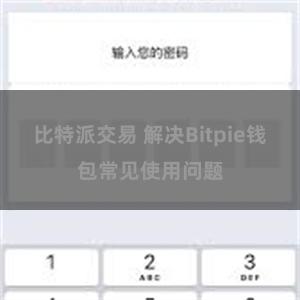 比特派交易 解决Bitpie钱包常见使用问题