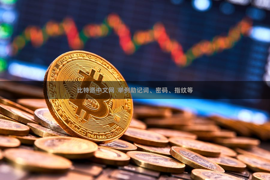 比特派中文网  举例助记词、密码、指纹等