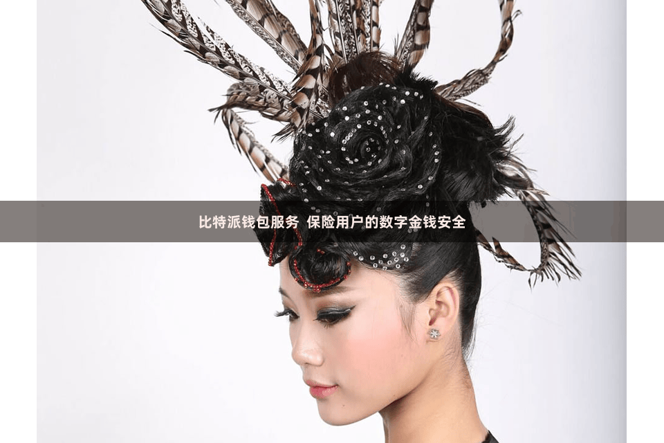 比特派钱包服务  保险用户的数字金钱安全